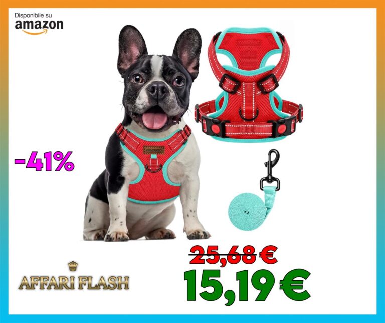 FAYOGOO Pettorina Cane, Pettorina Cane Taglia Media Regolabile, Traspirante Pettorina Cane Taglia Grande con Guinzaglio, Pettorina Antifuga Cane per la Corsa, Passeggiate, Jogging (Rosso, M)