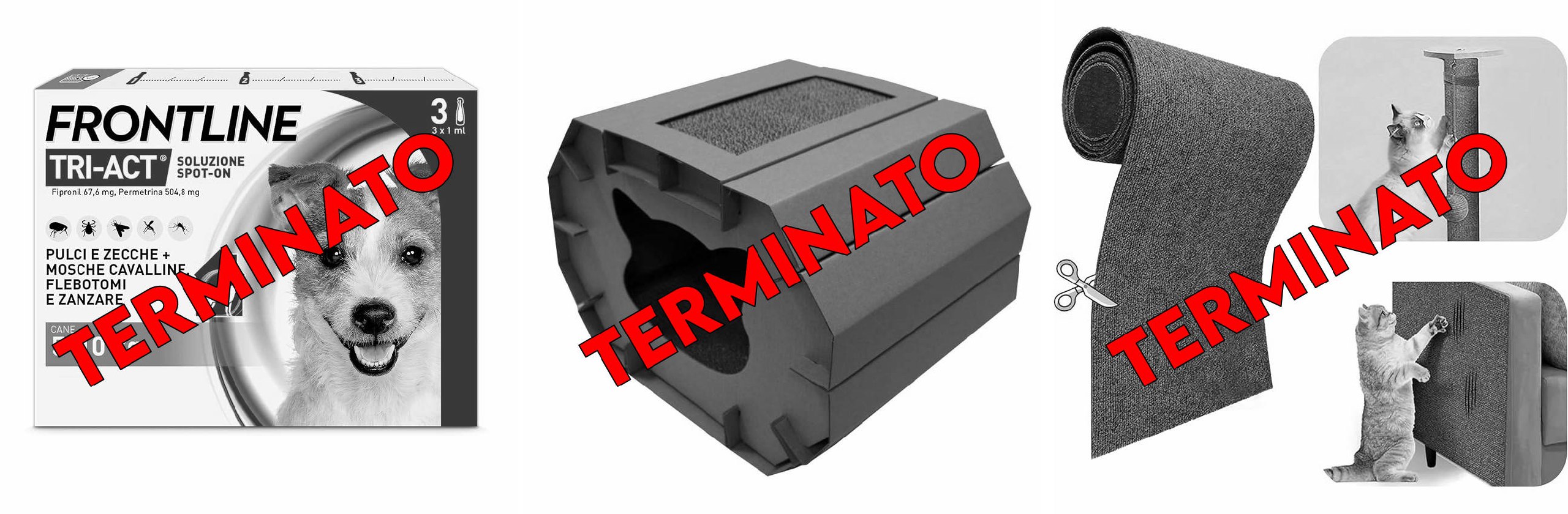 file 2680.jpg