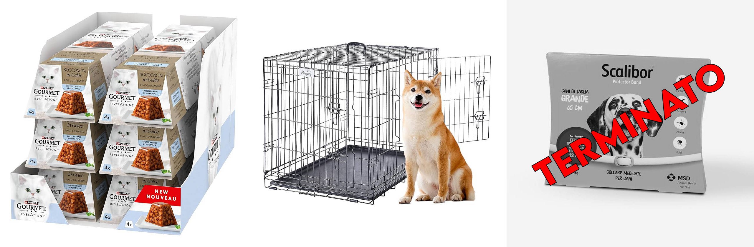 file 2847.jpg
