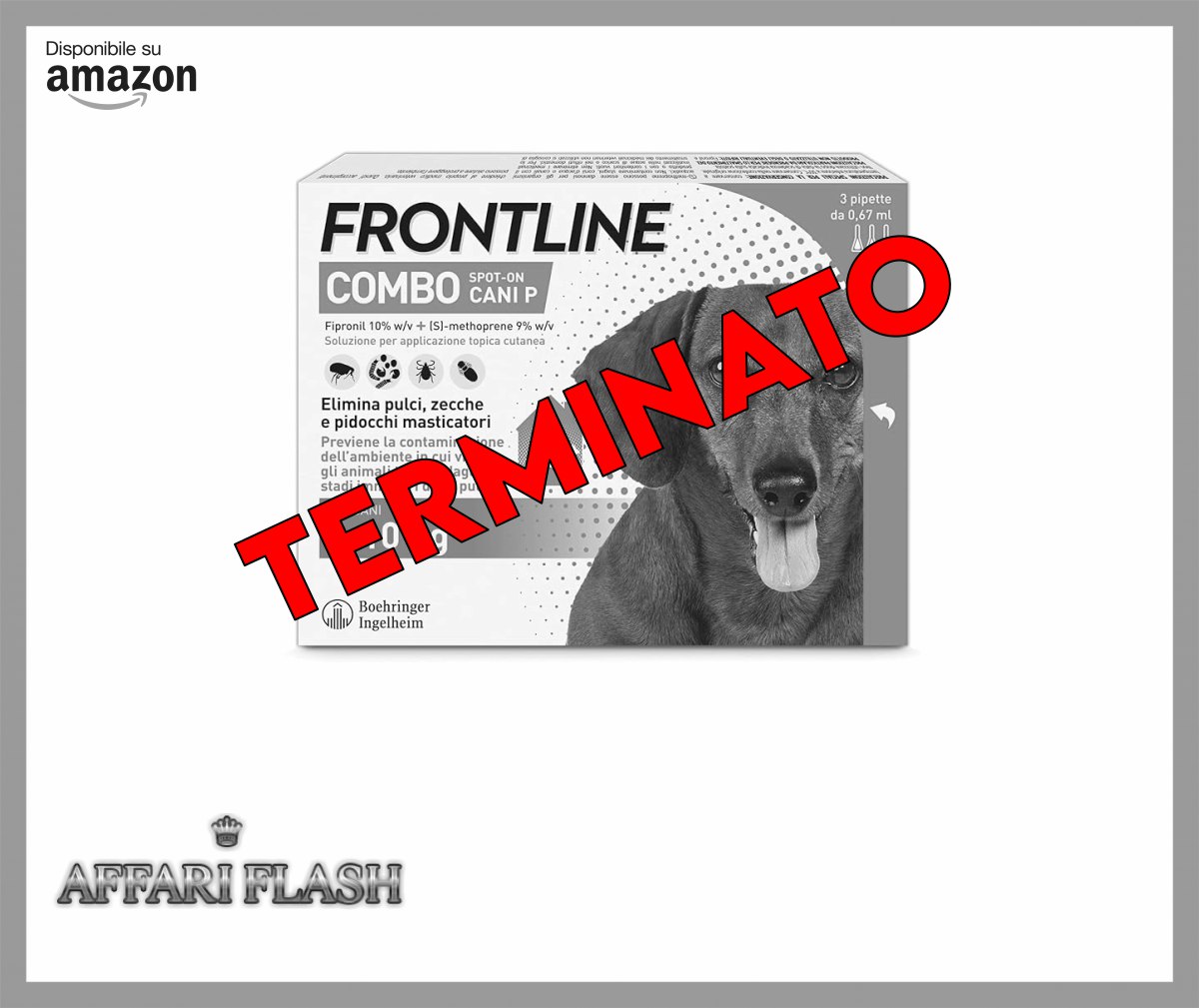 file 3074.jpg
