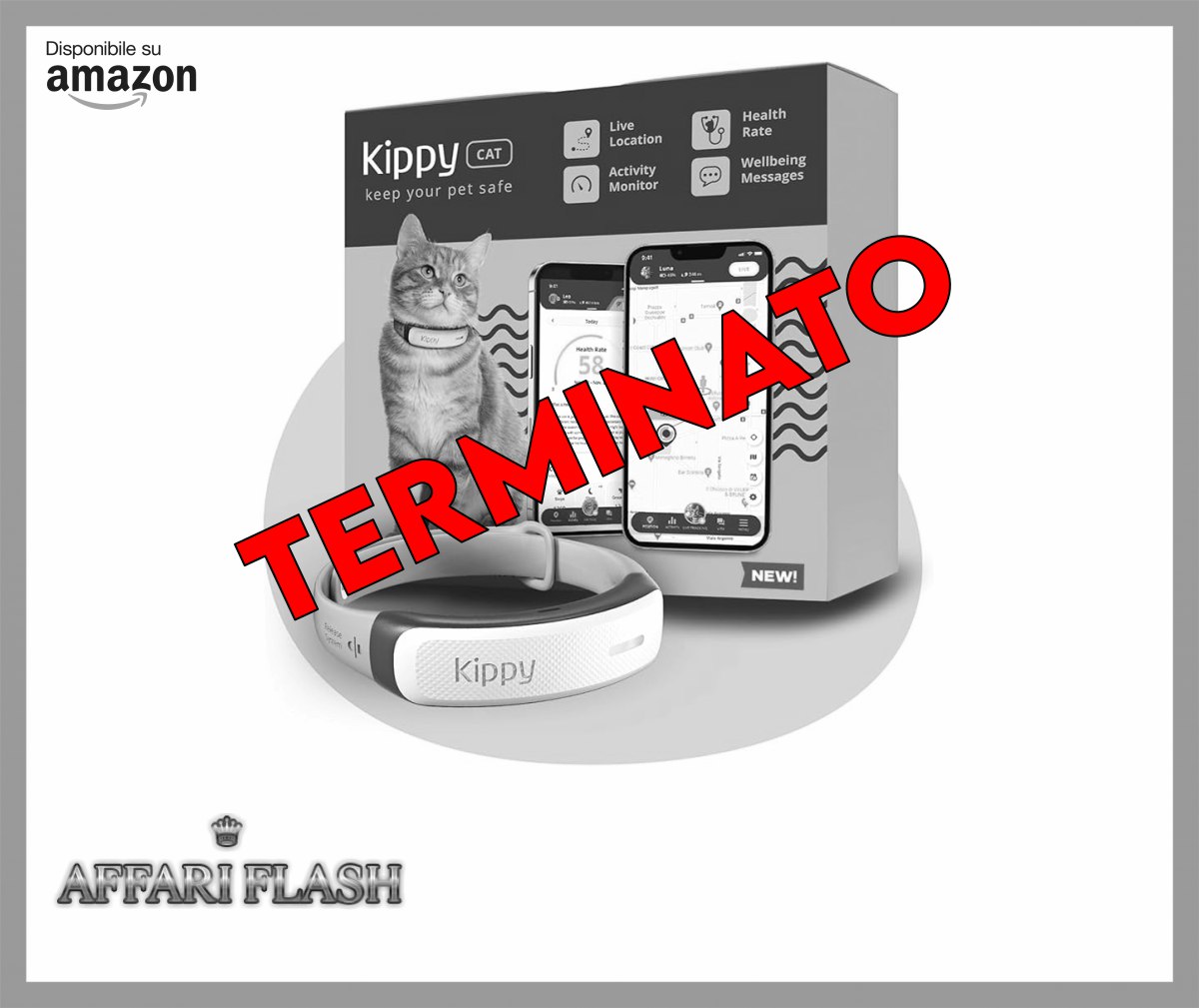 file 5217.jpg