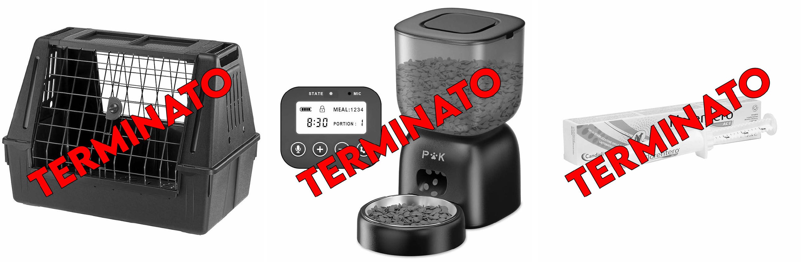 file 5596.jpg
