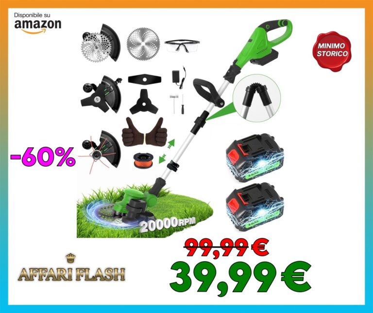 GVDV Decespugliatore a Batteria 24V con 2 Batterie