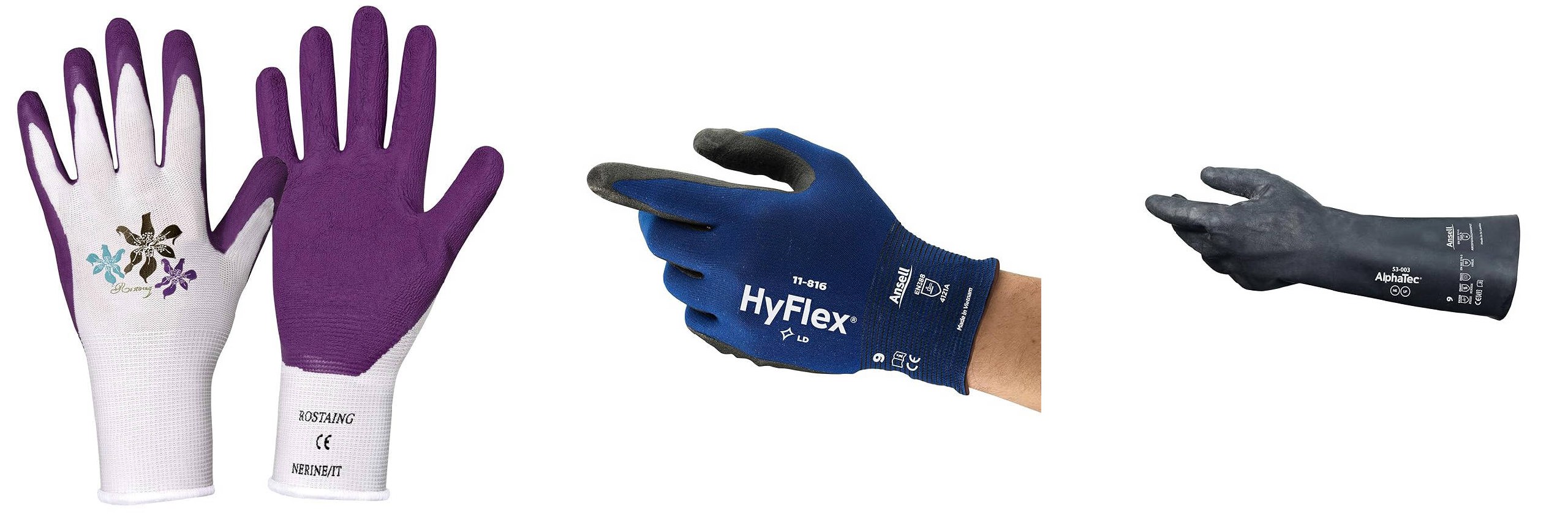 file 5996.jpg