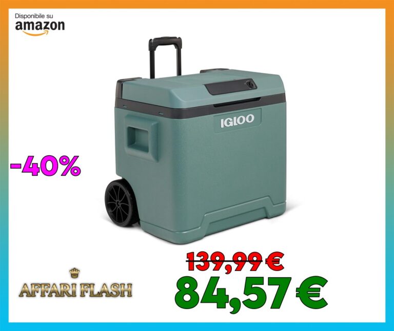 IGLOO IE42 Frigorifero Portatile Elettrico per Auto e Presa Elettrica, 42L, 12V e 230V
