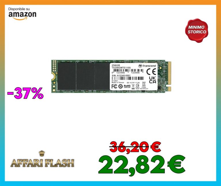 Transcend MTE110S